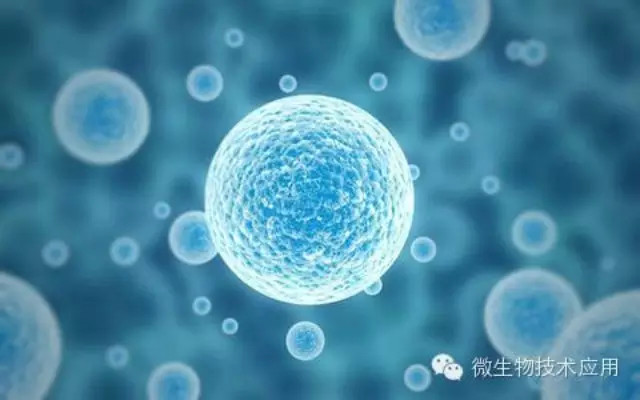 陈春麟博士受邀参与第五届眼疾病和药物开发会议