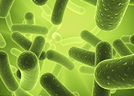 BB贝博将参与2013年欧洲生物春季展会