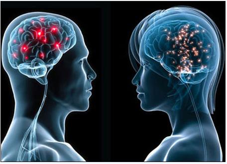 5月2号，医药经济报上颁发了关于陈春麟博士的报路——CRO的中国式崛起蹊径