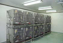 首页-BB贝博艾弗森公司官网