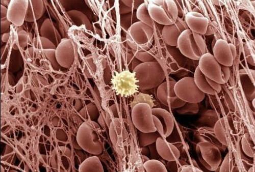 首页-BB贝博艾弗森公司官网