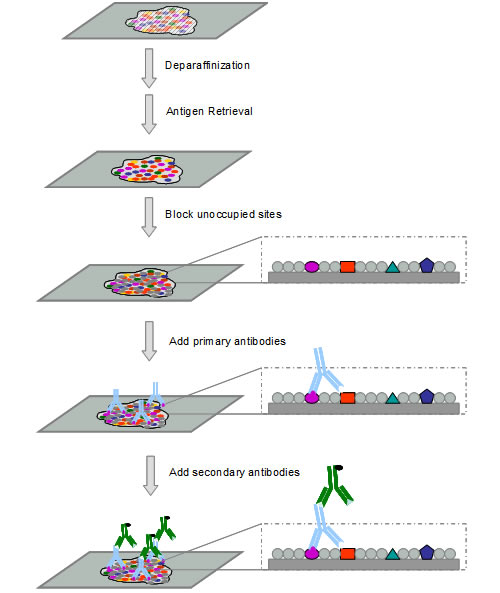 首页-BB贝博艾弗森公司官网