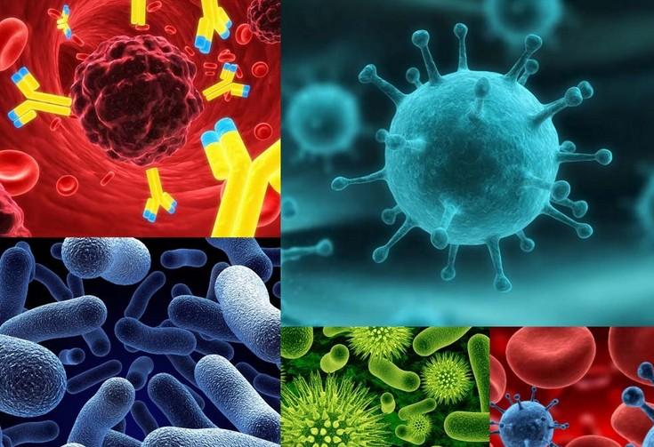 首页-BB贝博艾弗森公司官网