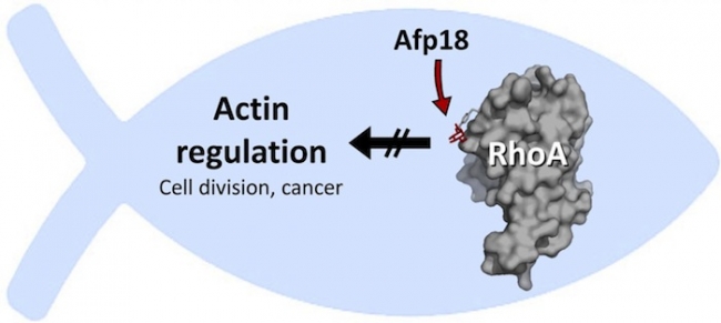 首页-BB贝博艾弗森公司官网