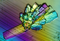 首页-BB贝博艾弗森公司官网