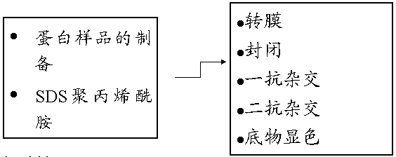 首页-BB贝博艾弗森公司官网