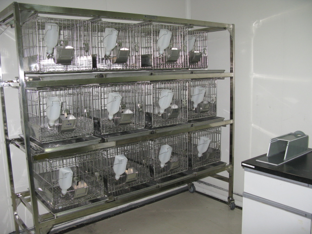 BB贝博普亚新动物房通过上海动管会验收