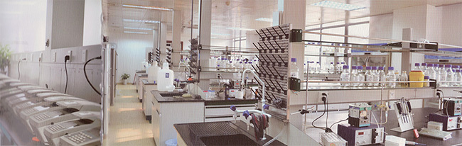 首页-BB贝博艾弗森公司官网