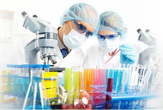 首页-BB贝博艾弗森公司官网