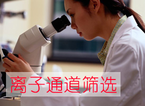 BB贝博离子通路筛选服务