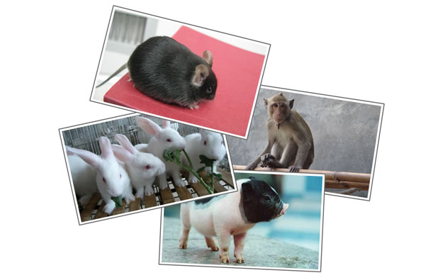 首页-BB贝博艾弗森公司官网