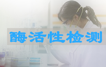 BB贝博酶活性测定服务