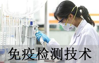 BB贝博免疫学检测技术分析服务
