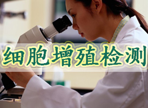BB贝博细胞增殖检测