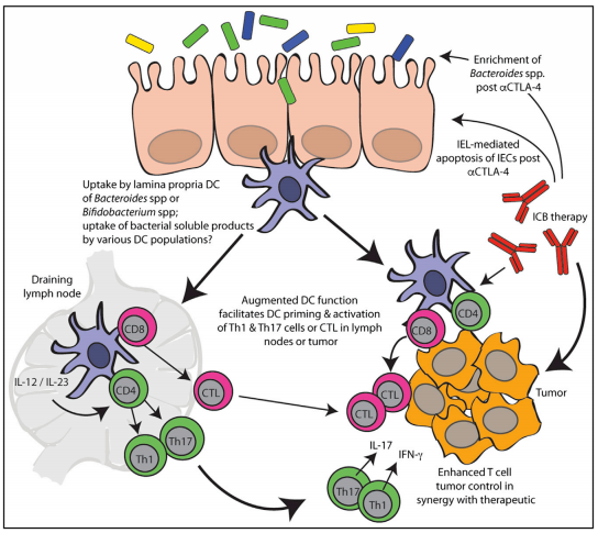 首页-BB贝博艾弗森公司官网