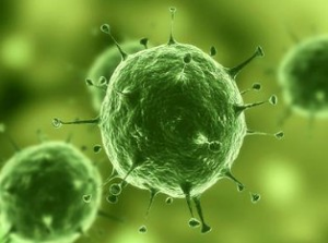 首页-BB贝博艾弗森公司官网