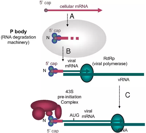 首页-BB贝博艾弗森公司官网