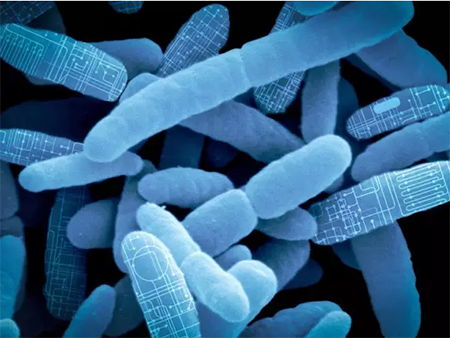 首页-BB贝博艾弗森公司官网