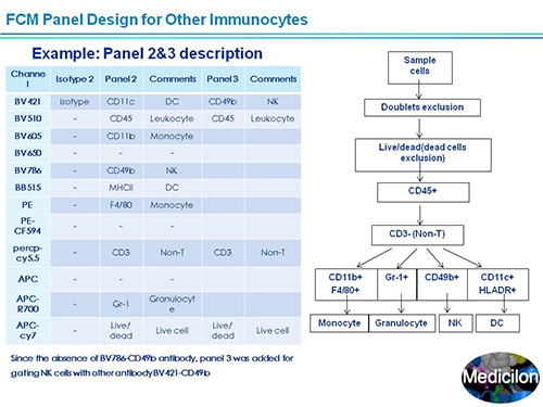 BB贝博副总裁汪俊博士SAPA-DC会议演讲PPT