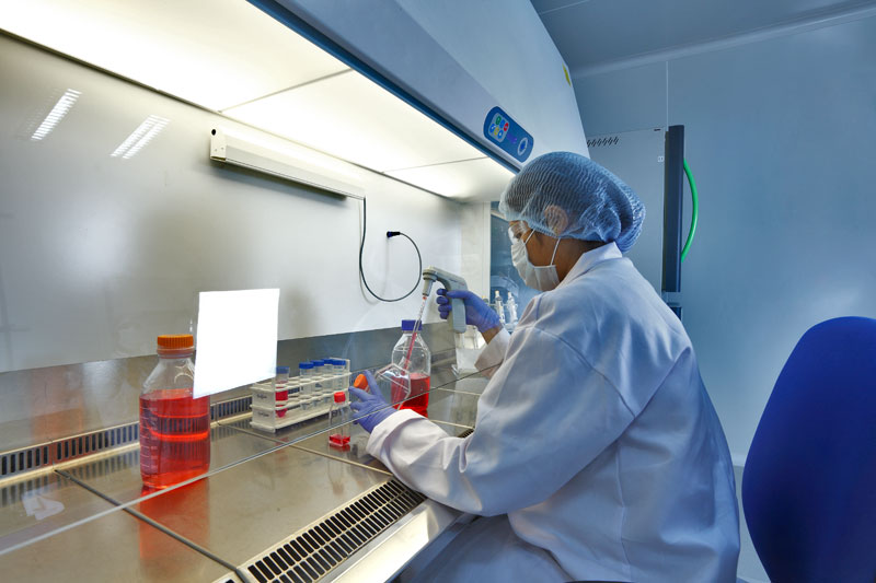 单种类用度或达千万？一致性评价还有这四大“坎”