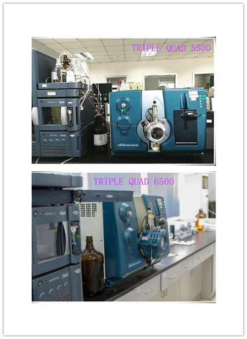 BB贝博幼分子仿造药生物分析部门仪器