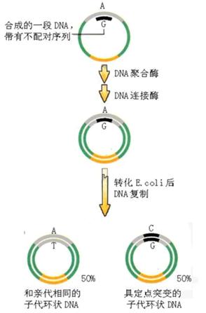 首页-BB贝博艾弗森公司官网
