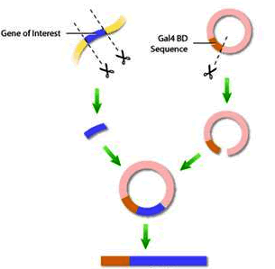首页-BB贝博艾弗森公司官网