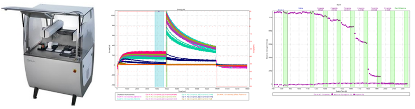 首页-BB贝博艾弗森公司官网