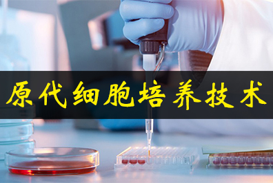 原代细胞造就技术