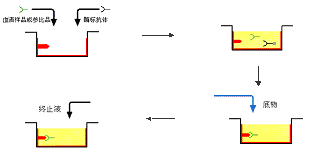 首页-BB贝博艾弗森公司官网