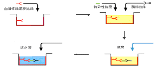 首页-BB贝博艾弗森公司官网
