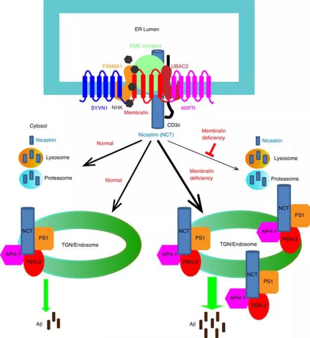 首页-BB贝博艾弗森公司官网