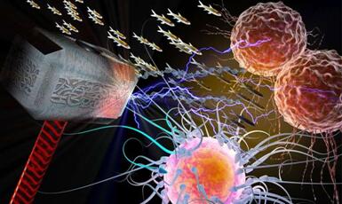 首页-BB贝博艾弗森公司官网
