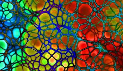 首页-BB贝博艾弗森公司官网