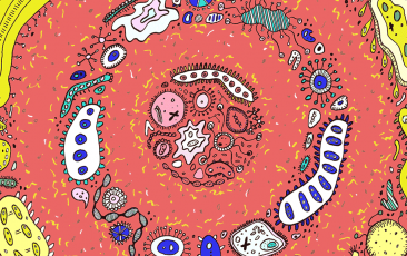 首页-BB贝博艾弗森公司官网