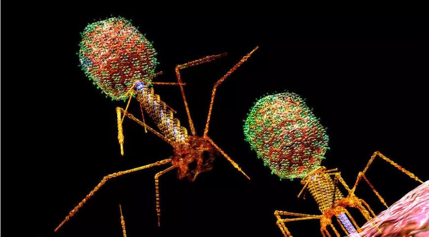 首页-BB贝博艾弗森公司官网