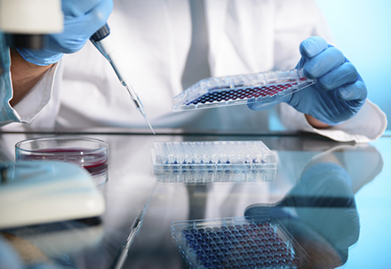 289目录国内特有种类一致性评价抱团才有戏？