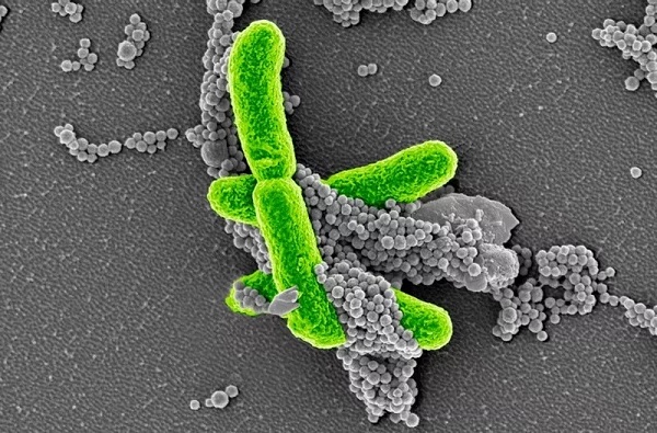 首页-BB贝博艾弗森公司官网