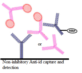 首页-BB贝博艾弗森公司官网