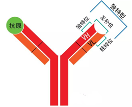 首页-BB贝博艾弗森公司官网