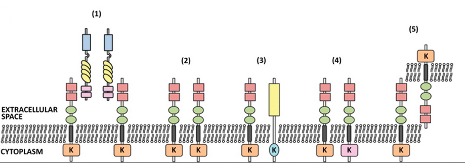 首页-BB贝博艾弗森公司官网
