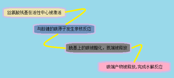 首页-BB贝博艾弗森公司官网
