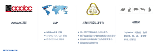 BB贝博生物医药 临床前钻研