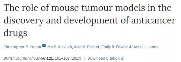 临床前幼鼠模型若何？