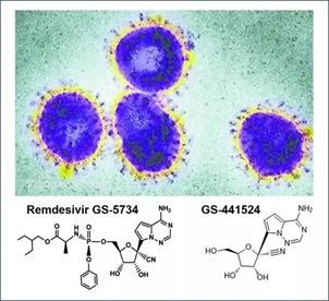 基于细胞因子风暴和免疫炎症反映综合征，好多免疫有关靶点也能够列为冠状病毒的靶点。