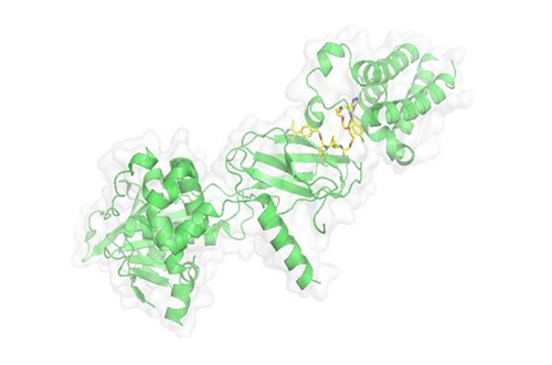 PROTAC技术，马兴泉