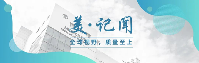 海宁市副市长杨文华一行调研BB贝博