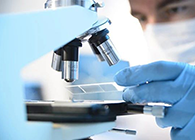 BB贝博代谢产品鉴定(MetlD)服务平台