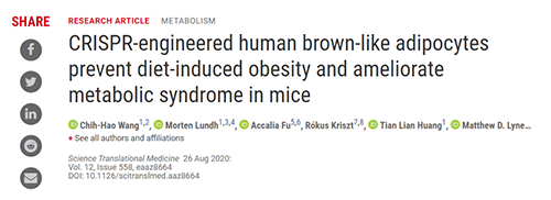 Science|聚焦CRISPR：刷新脂肪细胞，“躺瘦”可能要成真了？