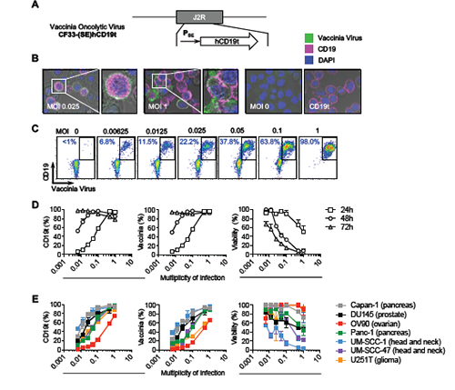 首页-BB贝博艾弗森公司官网